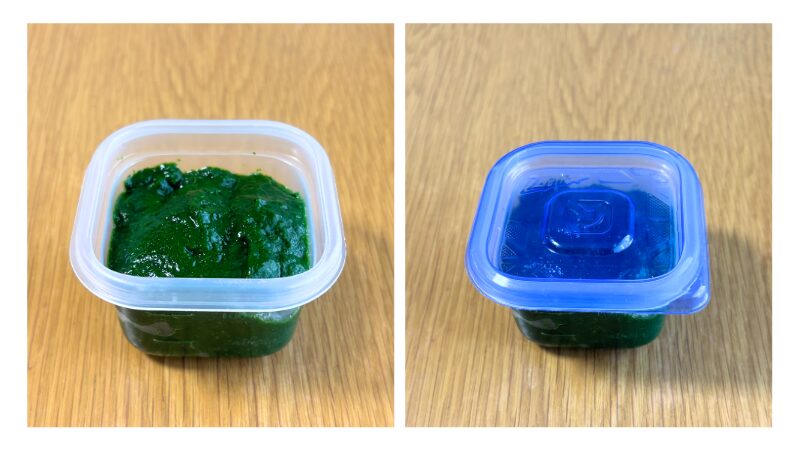 ほうれん草のムース食をタッパーにいれて保存している画像。保存方法の説明。