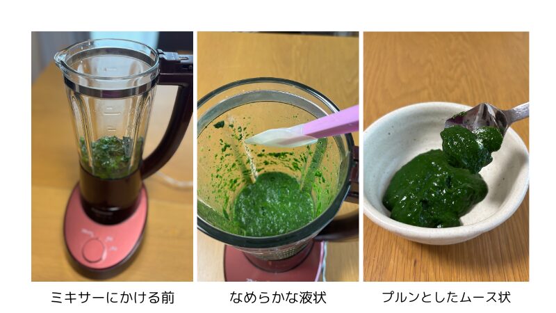３つの画像を載せています。
左はミキサーに茹でたほうれん草を入れた画像です。真ん中はほうれん草をミキサーにかけてなめらかな液状になった画像です。右はほうれん草がゲル化してムース状になった画像です。